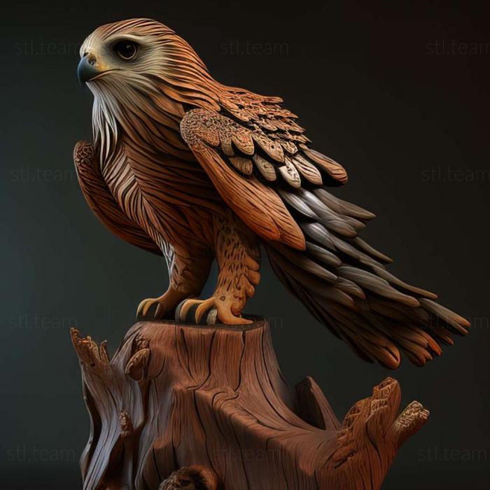 3D модель Buteo albigula (STL)